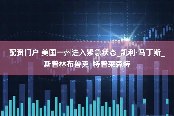 配资门户 美国一州进入紧急状态_凯利·马丁斯_斯普林布鲁克_特普莱森特