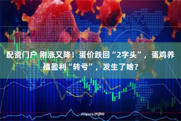 配资门户 刚涨又降!蛋价跌回“2字头”,蛋鸡养殖盈利“转亏”,发生了啥?